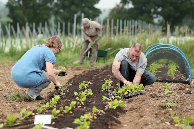 FORTY HALL FARM_050