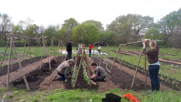 Our Members Community Food Growers Network