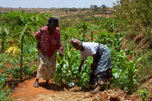 Women from the Mbini Self-Help Group showing off the fields