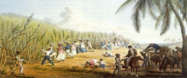 Brazilslavery